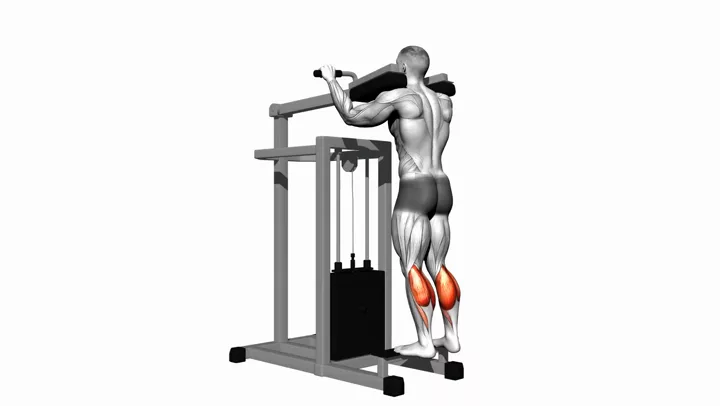 Standing Calf Raises