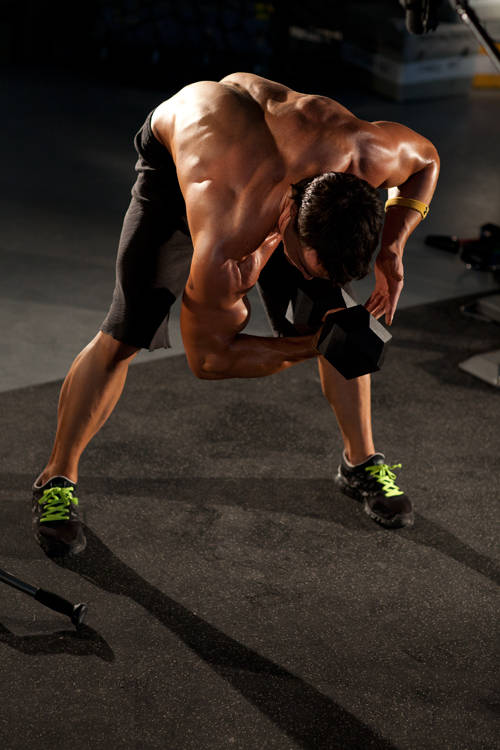 Standing Concentration Curl, end position