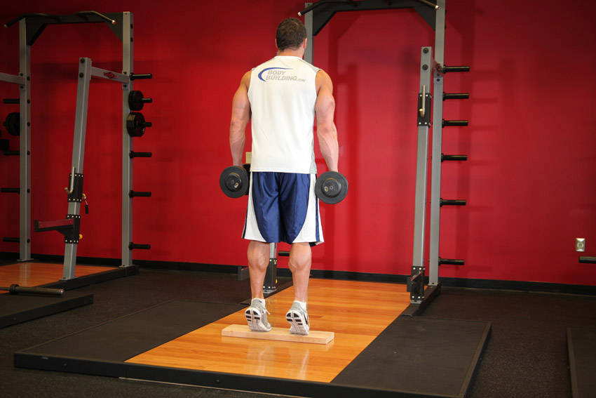 Standing Dumbbell Calf Raise, end position