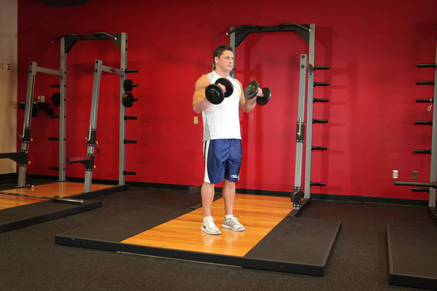 Standing Dumbbell Reverse Curl, end position
