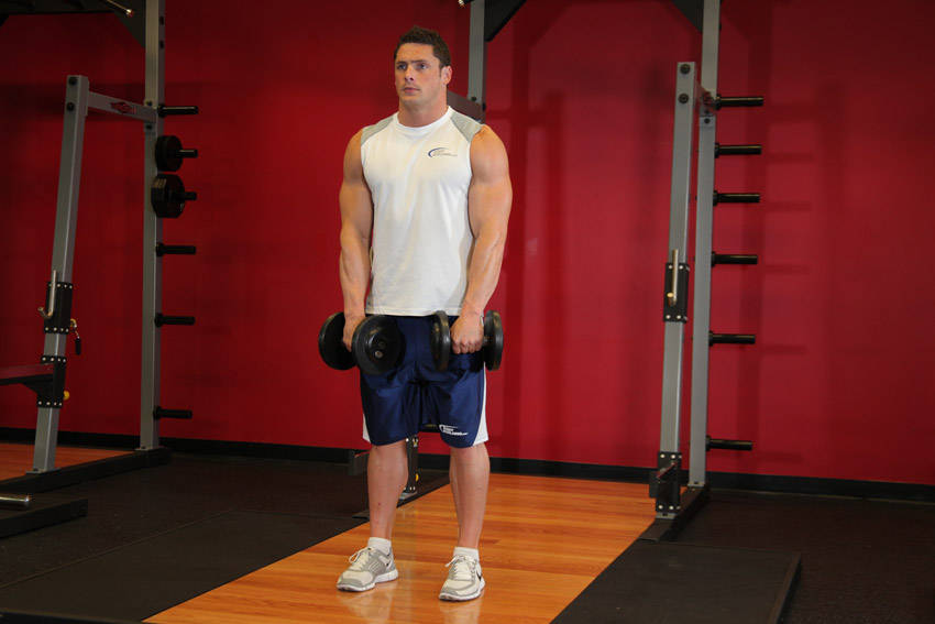 Standing Dumbbell Upright Row, end position