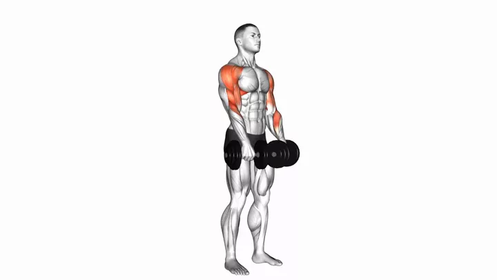Standing Dumbbell Upright Row