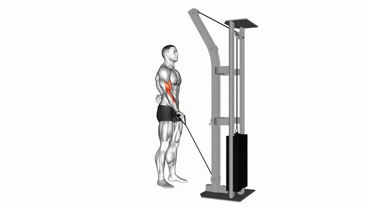 Standing One-Arm Cable Curl