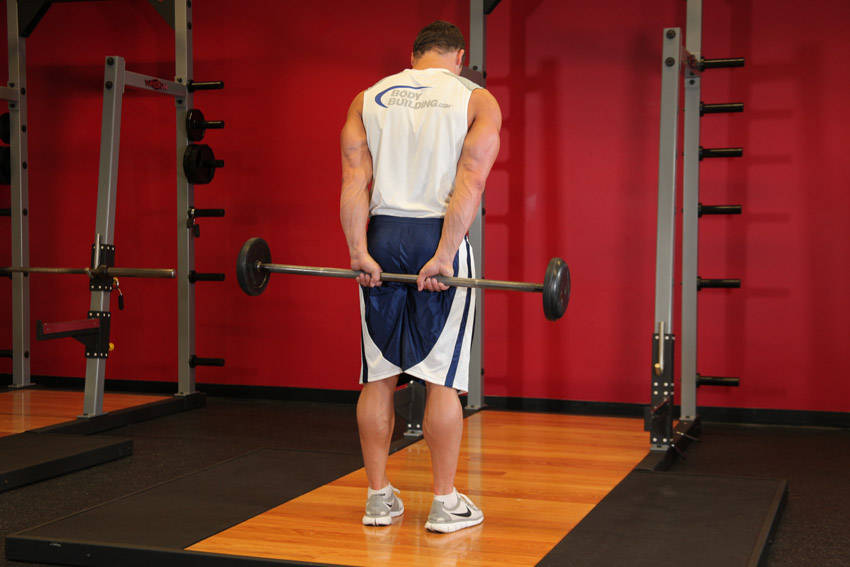 Standing Palms-Up Barbell Behind The Back Wrist Curl, end position