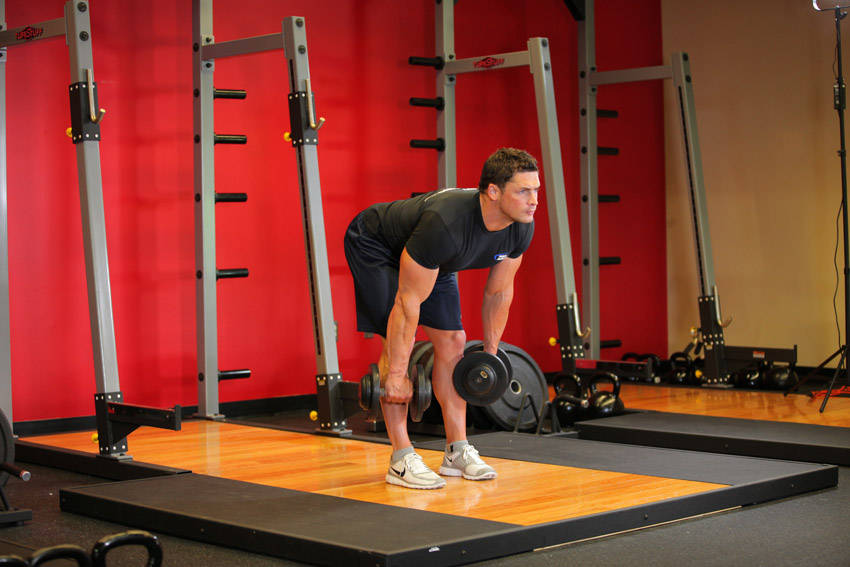 Stiff-Legged Dumbbell Deadlift, end position