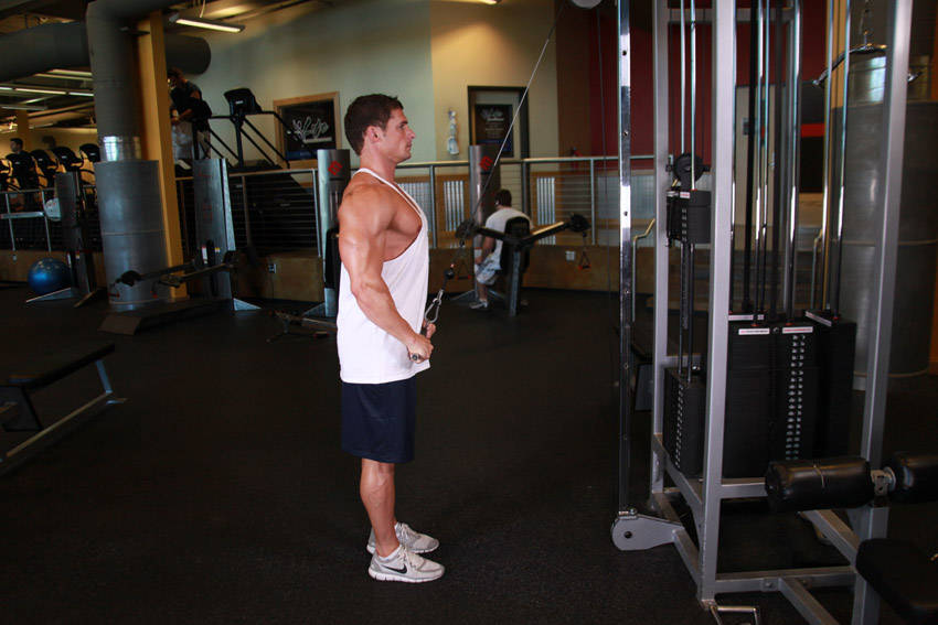 Straight-Arm Pulldown, end position