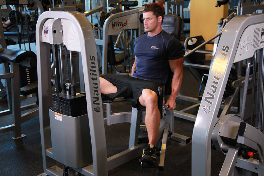 Thigh Abductor, end position