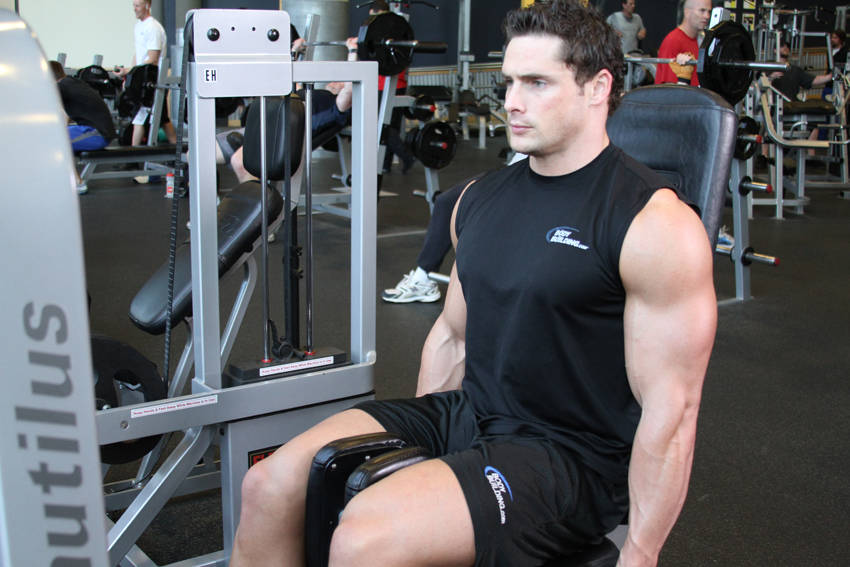 Thigh Adductor, end position