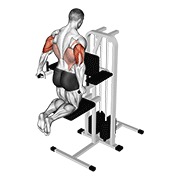 Triceps Dip (Assisted)