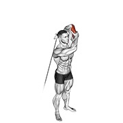 Triceps Extension (Cable)