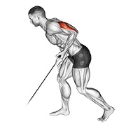 Triceps Kickback (Cable)