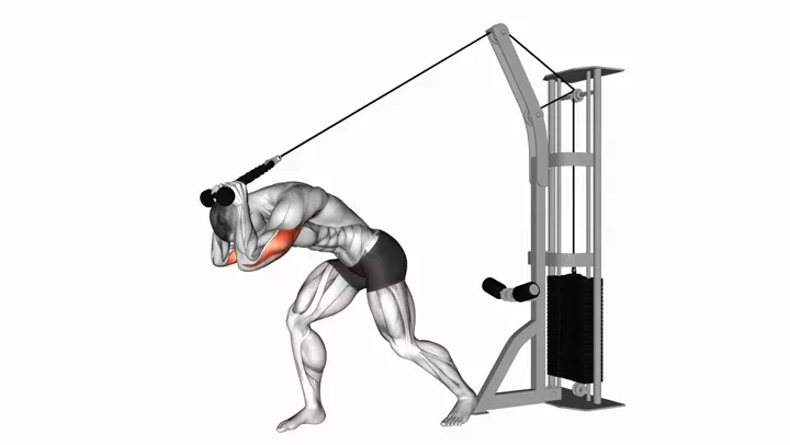 High Pulley Overhead Triceps Extension, demonstration