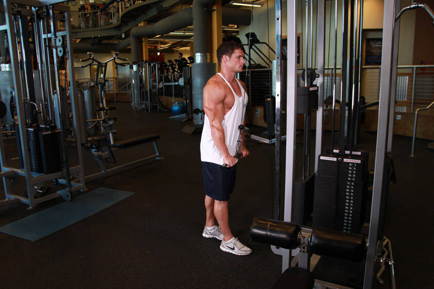 Triceps Pushdown, end position