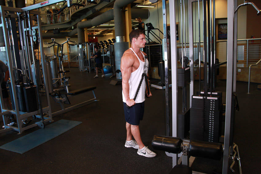 Triceps Pushdown - Rope Attachment, end position