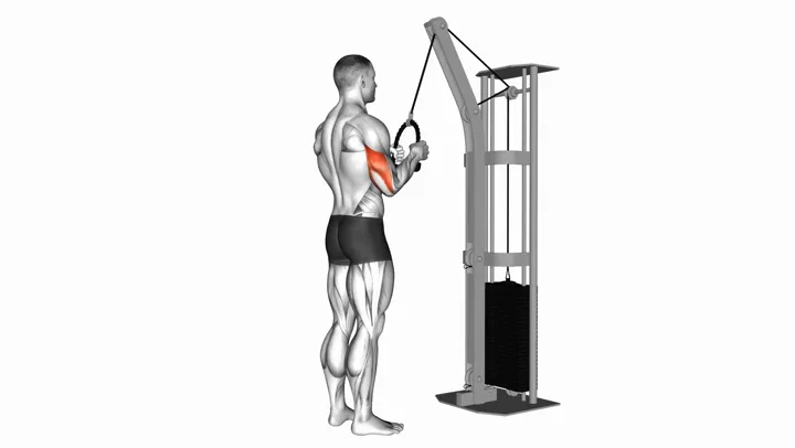 Triceps Pushdown - Rope Attachment