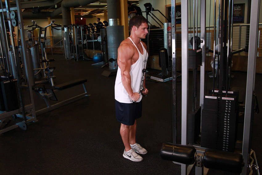 Triceps Pushdown - V-Bar Attachment, end position