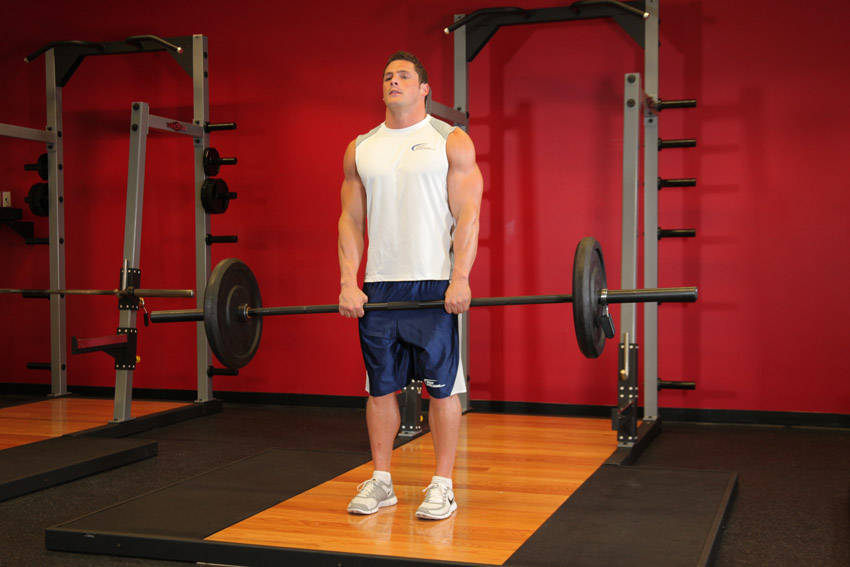 Upright Barbell Row, end position