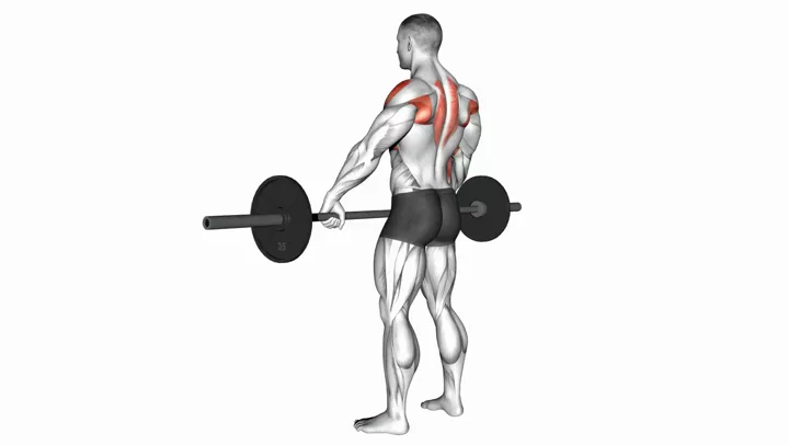 Upright Barbell Row