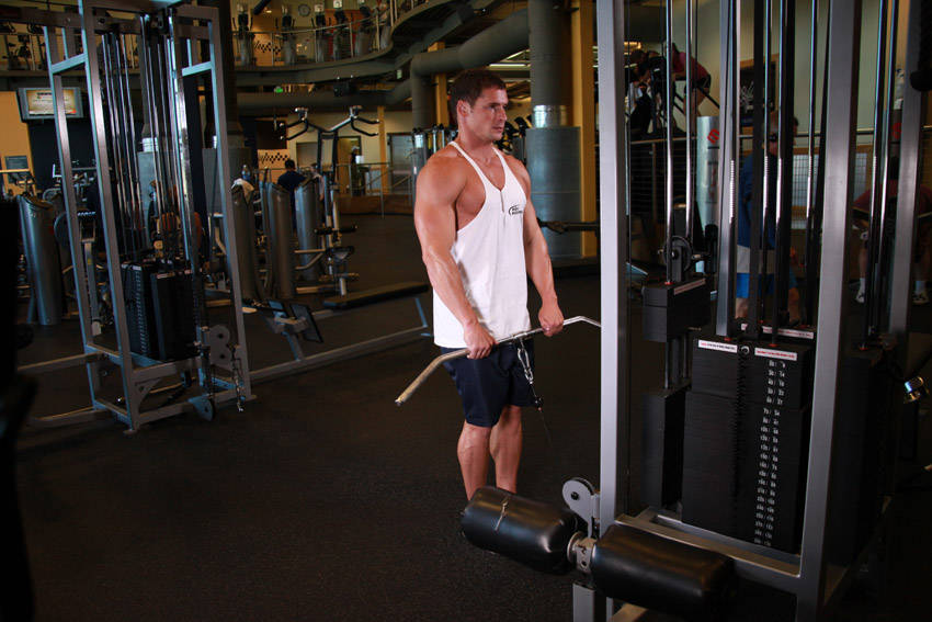 Upright Cable Row, end position