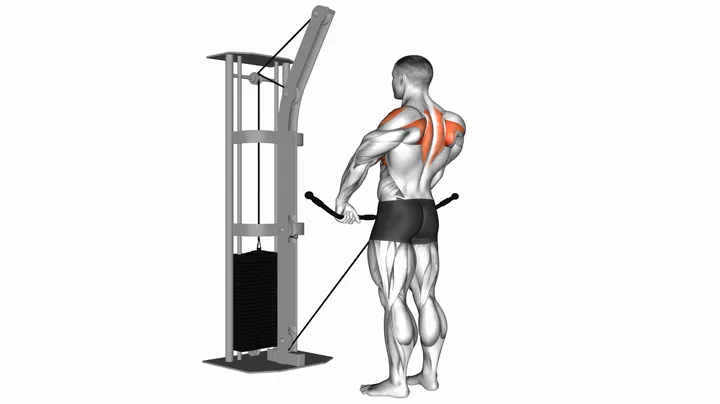 Upright Cable Row