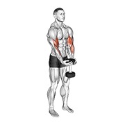 Waiter Curl (Dumbbell)