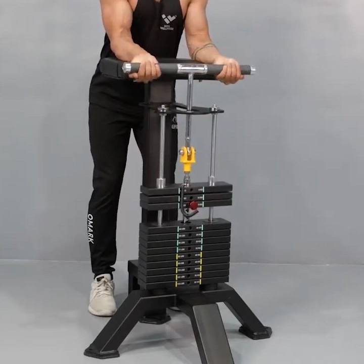 Wrist Curl (Machine)