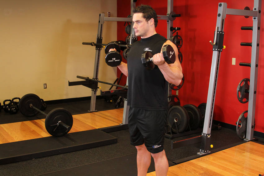 Zottman Curl, end position