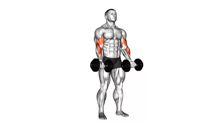 Zottman Curl, demonstration